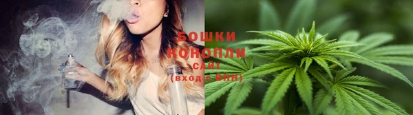 Альфа ПВП Бугульма